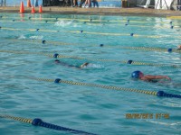 /album/fotogaleria/a417414-3286949060205-1462026113-2978839-2134861136-n-jpg/